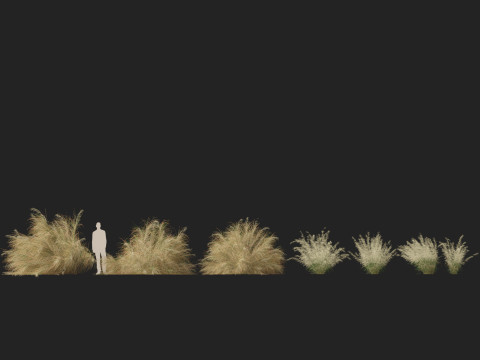 HighpolyLowpoly Austrostipa ramosissima Stout Bamboo Grass 3D Модель