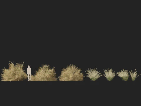 HighpolyLowpoly Austrostipa ramosissima Erba di bamb&ugrave; robusta Modello 3D