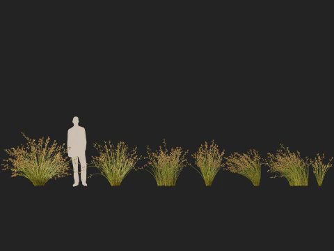 HighpolyLowpoly Baloskion pallens - Didgery Sticks-Native Rush Modelo 3D