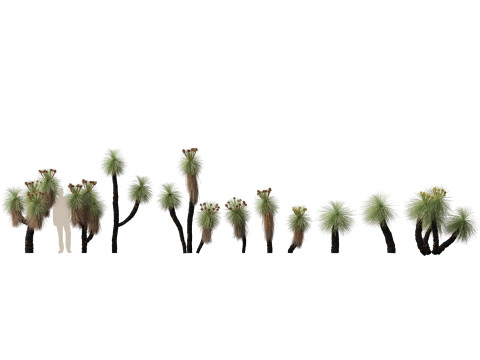 HighpolyLow Poly Kingia Australis - Bullanock 3D 모델