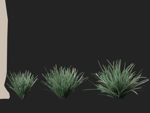 HighpolyLow Poly Lomandra Filiformis Savanna Blue - Wattle Mat-Rush 3D 모델