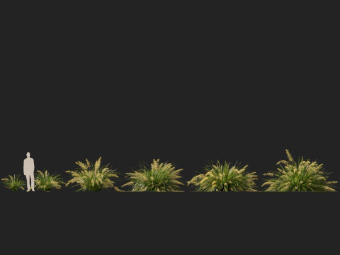 HighpolyLow Poly Lomandra hystrix Katie Belles - Snella Mat Rush Modello 3D