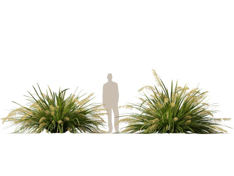 HighpolyLow Poly Lomandra hystrix Katie Belles - Snella Mat Rush Modello 3D