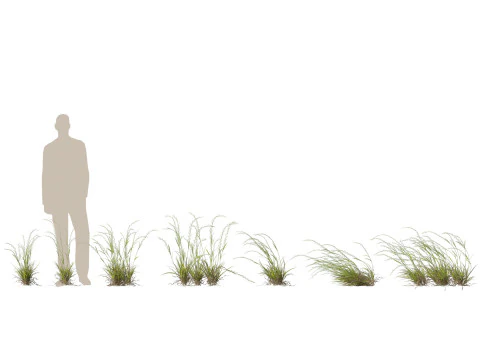 HighpolyLow Poly Microlaena stipoides Erba di prato piangente Modello 3D