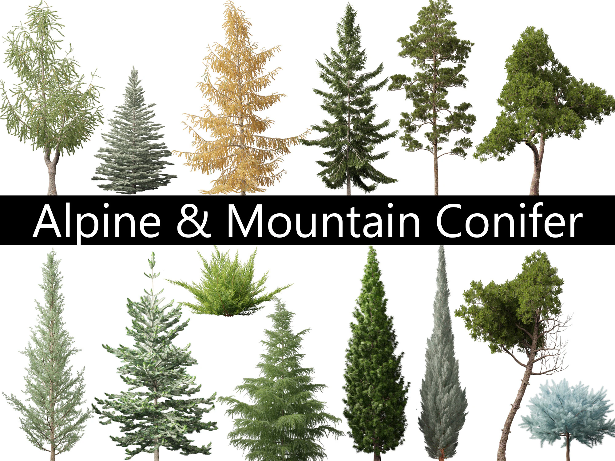 Alpine Mountain Conifers Pack 14 3D Model .c4d .max .obj .3ds .fbx .stl .blend 