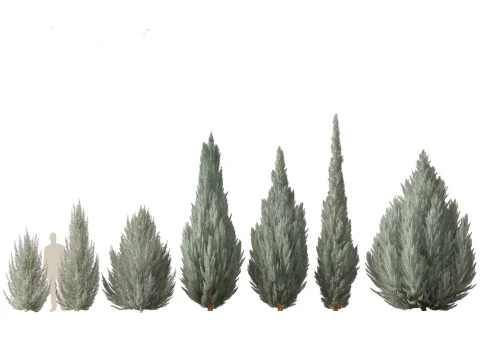 Alpine Mountain Conifers Pack 14 3D Model