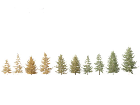 Alpine Mountain Conifers Pack 14 3D Model