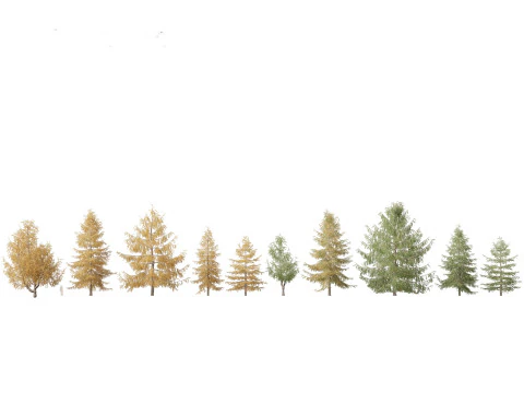 Alpine Mountain Conifers Pack 14 3D Model