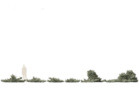 Alpine bergconiferenpakket 14 3D Model