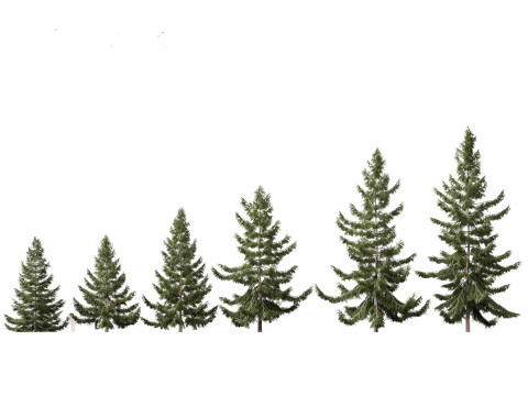 Alpine bergconiferenpakket 14 3D Model