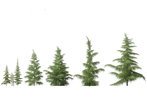 Alpine Mountain Conifers Pack 14 3D Model