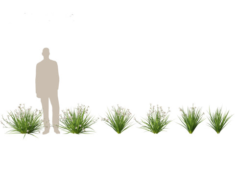 Pacote de plantas para lagoas aquáticas 09 Modelo 3D