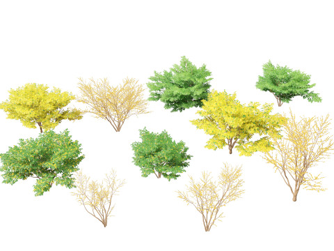 Aquatische Feuchtgebietspflanzen-Paket 45 3D Modell