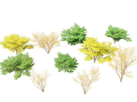 Pacchetto Piante Acquatiche Delle Zone Umide 45 Modello 3D