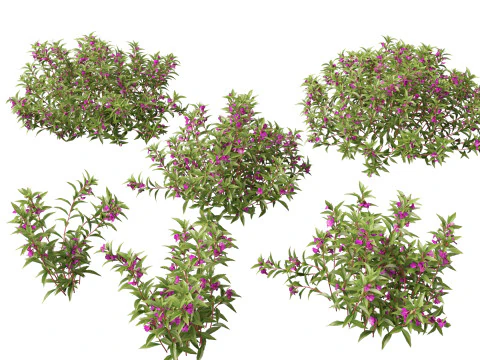 Pacchetto Piante Acquatiche Delle Zone Umide 45 Modello 3D