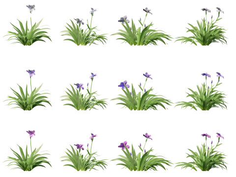 Aquatische Feuchtgebietspflanzen-Paket 45 3D Modell