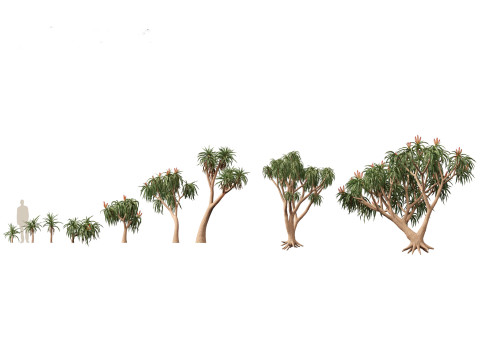 Pacote de árvores de savana árida 24 Modelo 3D