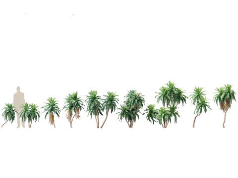 Pacote de árvores de savana árida 24 Modelo 3D