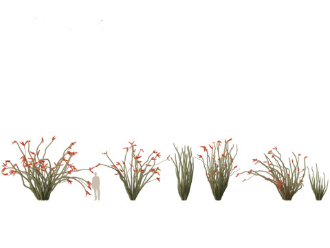 Pacote de árvores de savana árida 24 Modelo 3D