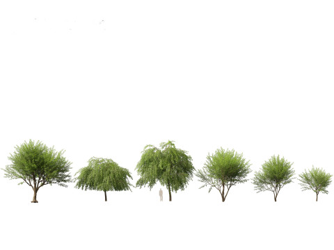 Pacote de árvores de savana árida 24 Modelo 3D