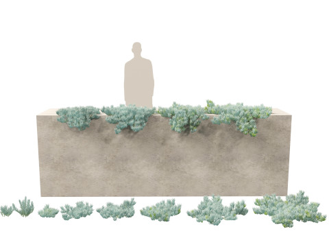 Pacote de árvores de savana árida 24 Modelo 3D