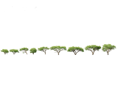 Pacote de árvores de savana árida 24 Modelo 3D