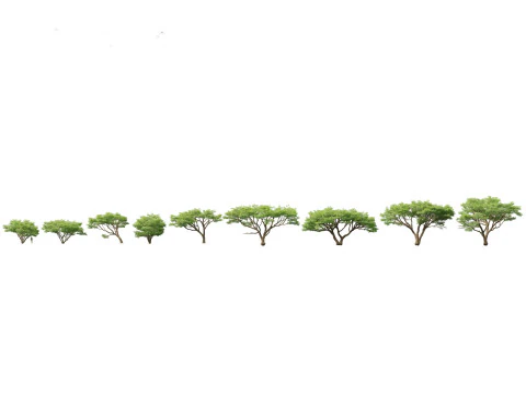 Arid Savanna Trees Pack 24 3D Model