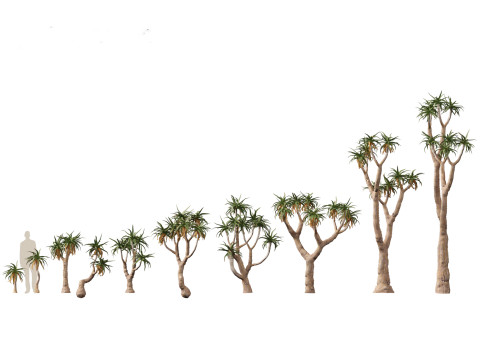 Pacote de árvores de savana árida 24 Modelo 3D