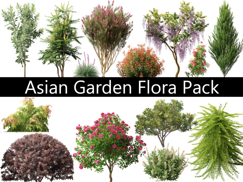 アジアン ガーデン フローラ パック 13 3Dモデル .c4d .max .obj .3ds .fbx .stl .blend
