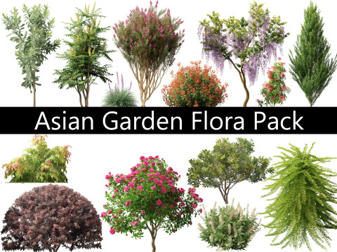 Aziatische tuinflora-pakket 13 3D Model