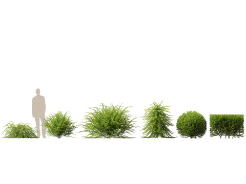 Aziatische tuinflora-pakket 13 3D Model