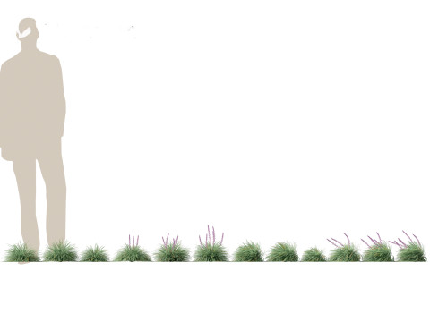 Aziatische tuinflora-pakket 13 3D Model