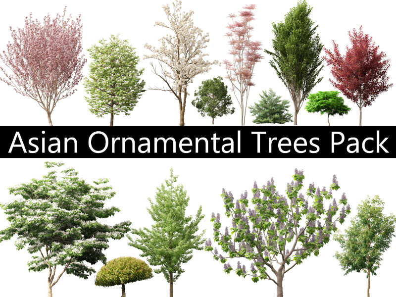 Asian Ornamental Trees Pack 21 3D Model .c4d .max .obj .3ds .fbx .stl .blend 