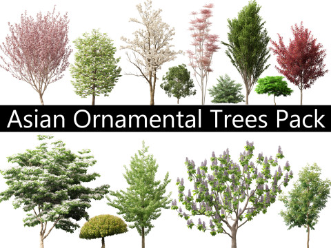 Asian Ornamental Trees Pack 21 3D Model