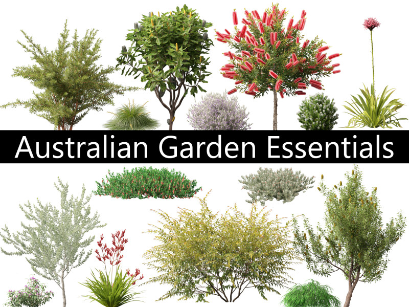 Australian Garden Essentials Pack 30 3D Model .c4d .max .obj .3ds .fbx .stl .blend 