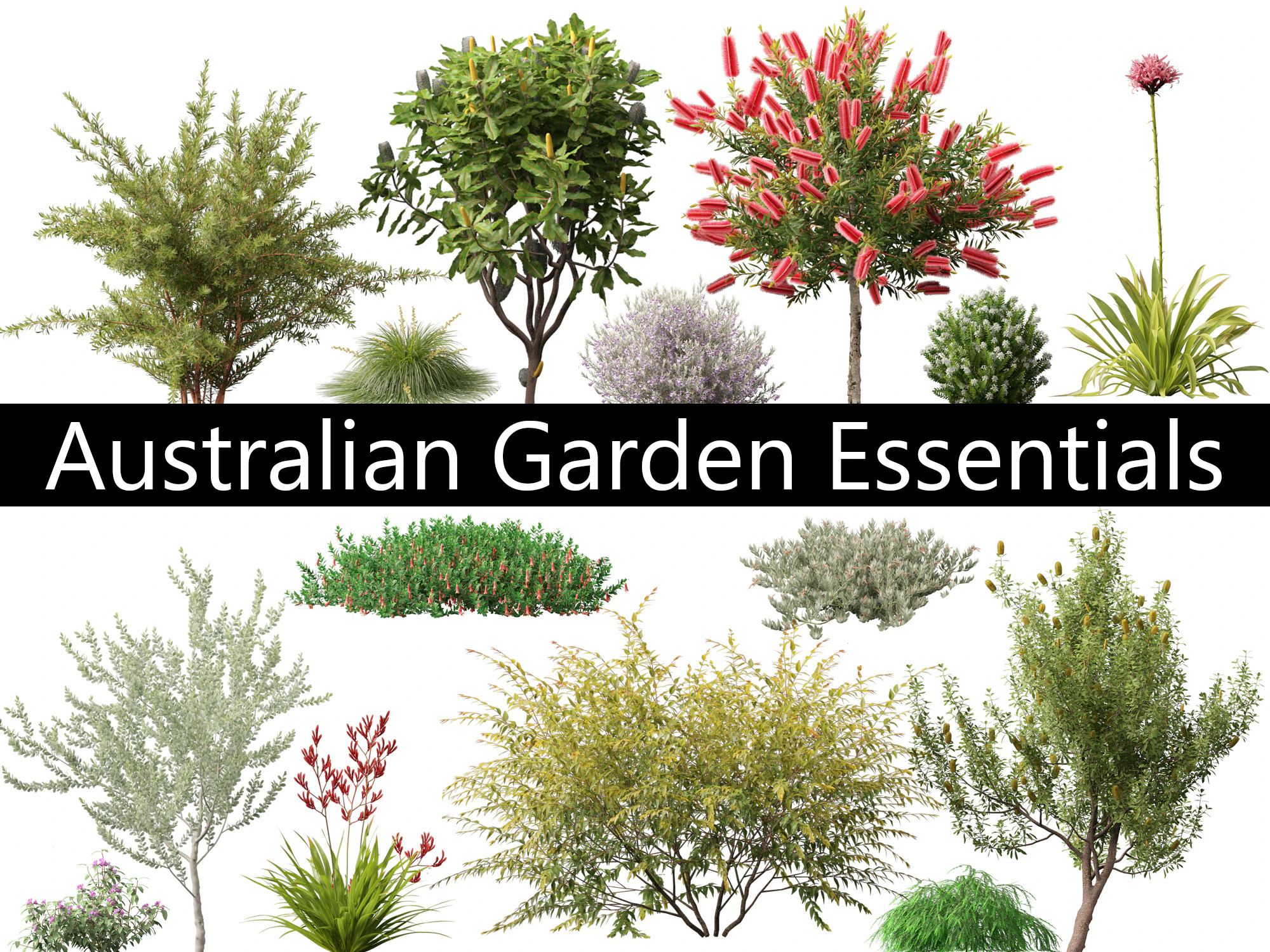 Pacchetto 30 di articoli essenziali per il giardino australiano Modello 3D .c4d .max .obj .3ds .fbx .stl .blend