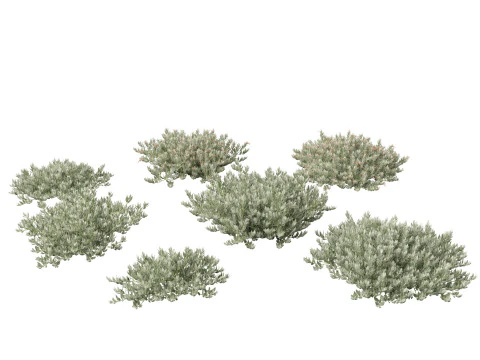 Pacchetto 30 di articoli essenziali per il giardino australiano Modello 3D