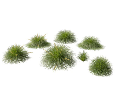 Pacchetto 30 di articoli essenziali per il giardino australiano Modello 3D