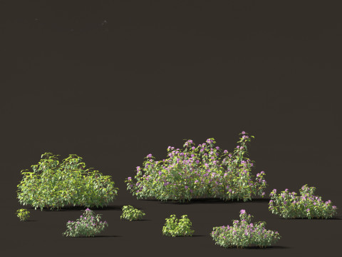 Australian Garden Essentials Pack 30 3D Model