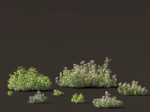 Pacchetto 30 di articoli essenziali per il giardino australiano Modello 3D