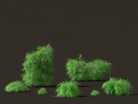 Australian Garden Essentials Pack 30 3D Model