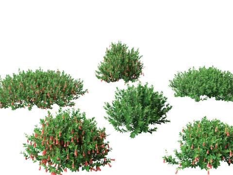 Australian Garden Essentials Pack 30 3D Model