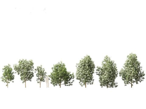 Набор предметов первой необходимости для австралийского сада, 30 шт. 3D Модель