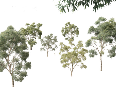 Набор предметов первой необходимости для австралийского сада, 30 шт. 3D Модель