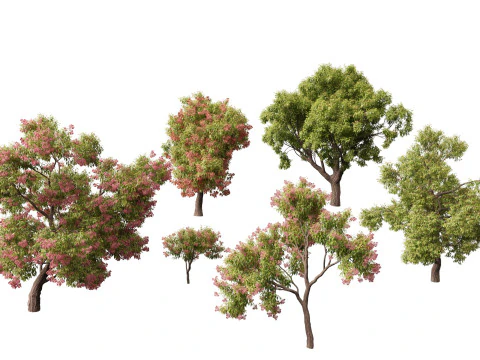 Pacchetto alberi nativi australiani 31 Modello 3D