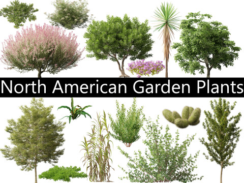 Pack Plantas De Jardín Norteamericanas 50 Modelo 3D