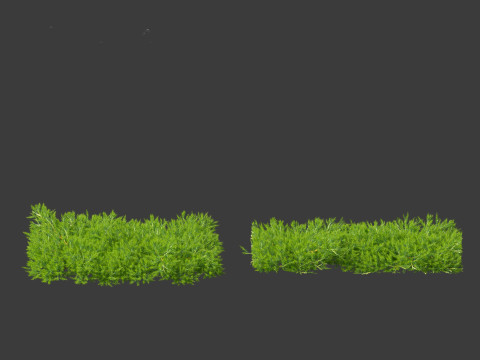 Pacote 50 de plantas de jardim da Am&eacute;rica do Norte Modelo 3D