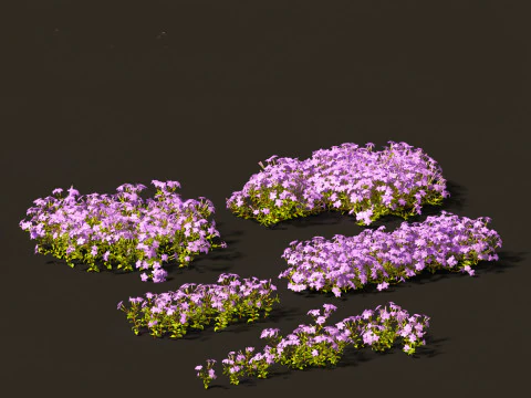 Pacote 50 de plantas de jardim da Am&eacute;rica do Norte Modelo 3D