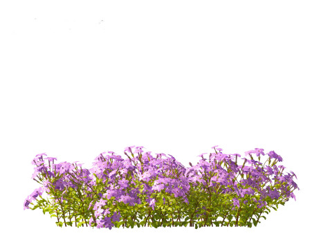 Pacote 50 de plantas de jardim da Am&eacute;rica do Norte Modelo 3D