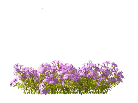 Pacote 50 de plantas de jardim da Am&eacute;rica do Norte Modelo 3D